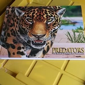 Predators Animal Book